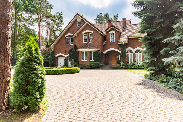 Best Driveway Paving Contractor  in Troup, TX